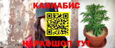 apvp Вязники